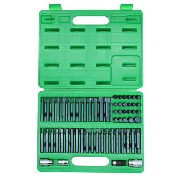 Набір біт TORX, HEX, SPLINE, RIBE, SQ 60од. GCAI6003 фото