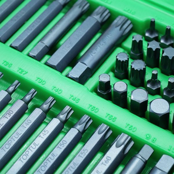 Набір біт TORX, HEX, SPLINE, RIBE, SQ 60од. GCAI6003 фото